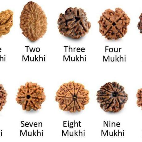 ॐ Original Nepal Origin 5 Mukhi (Panchmukhi) Rudraksha  Pendent with Certificate ॐ