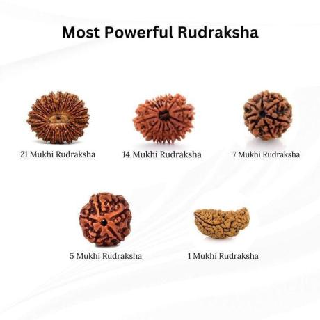 ॐ Original Nepal Origin 5 Mukhi (Panchmukhi) Rudraksha  Pendent with Certificate ॐ