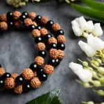 Natural 5 Mukhi Rudraksha Bracelet with Black Onyx 8mm – Unisex | Wealth & Health Attractor | Lab Certified 🔱